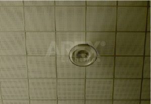 AUSTIN HEIGHT INTERNATIONAL SCHOOLS