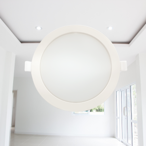 Led Downlight